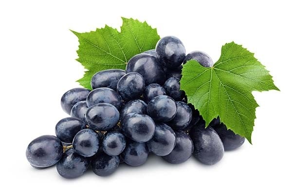 Grapes Black (IN) - Pack of 500g / عنب أسود : Buy online | freshtohome.com