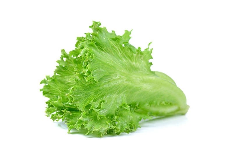Lettuce Green Curly Leafy : Buy online freshtohome com