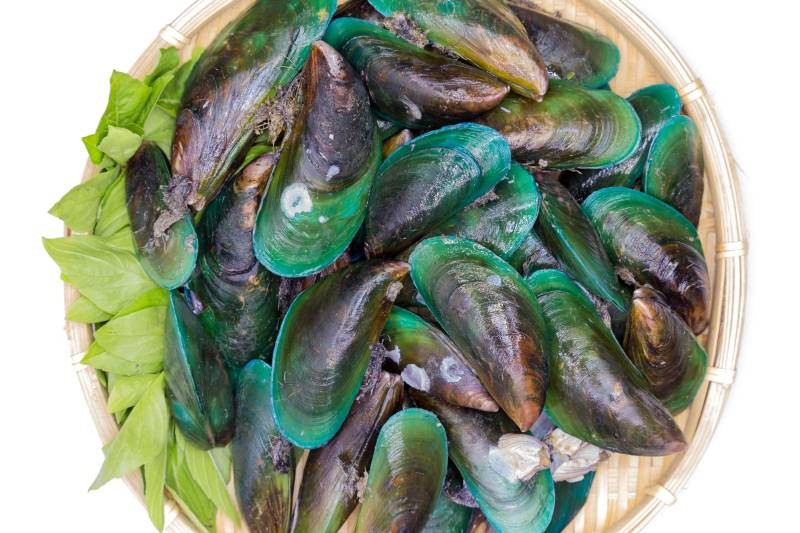 Green Mussel / Kallummekkaya Whole With Shell (Read the product