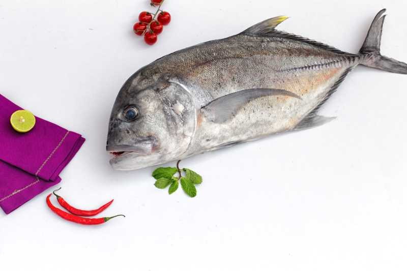 Trevally / Vatta (Large) Buy online