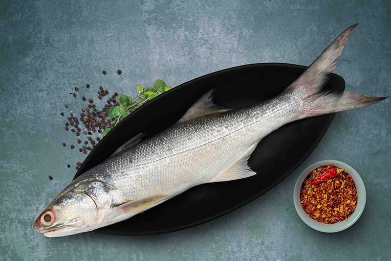 Indian Salmon / Vazhmeen / Raavas / Gurjali (Large) Whole Buy online