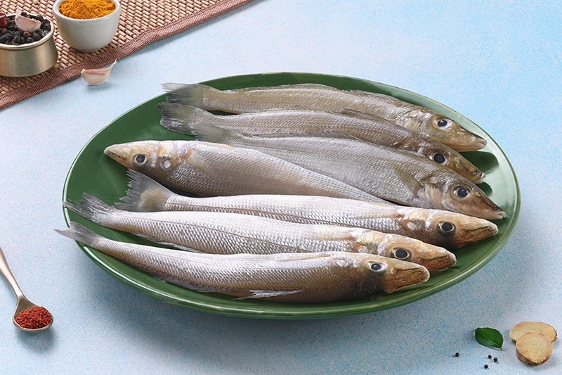 Lady Fish / Kane / Silver Whiting / ಕಾನೆ - Whole : Buy online ...