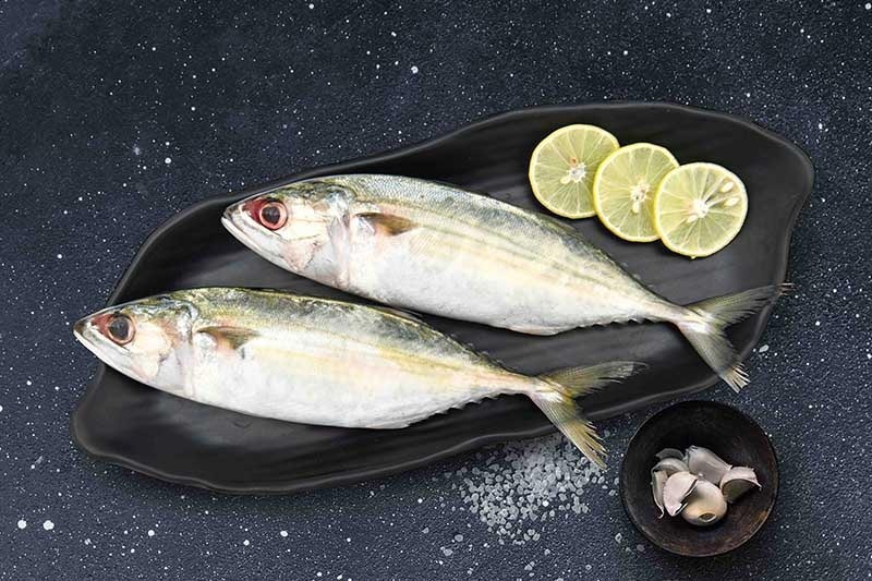 Mackerel / Ayala / Bangda / Aylai (5 to 9 Count/kg) Buy online