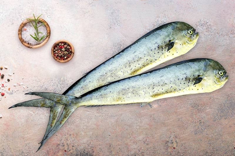 Mahi Mahi (Small) Buy online