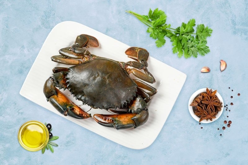 Mud Crab Large Buy Online Freshtohome Com Select from premium mud crab of the highest quality. mud crab large