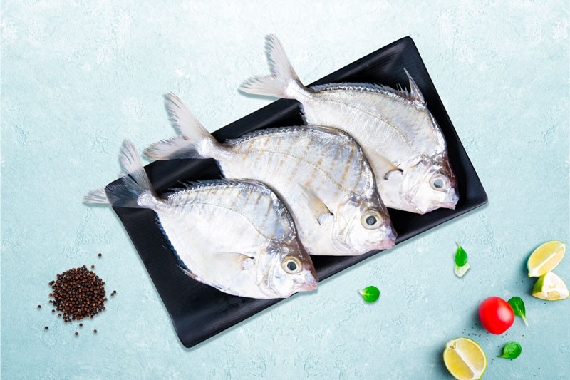 Pony Fish Mullan Large Whole Buy Online Freshtohome Com How to breed betta fish malayalam / betta fish breeding video (fighter fish breeding) aqua tips. pony fish mullan large whole