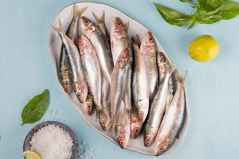 Premium Sardine / Mathi / Tarli : Buy online | freshtohome.com