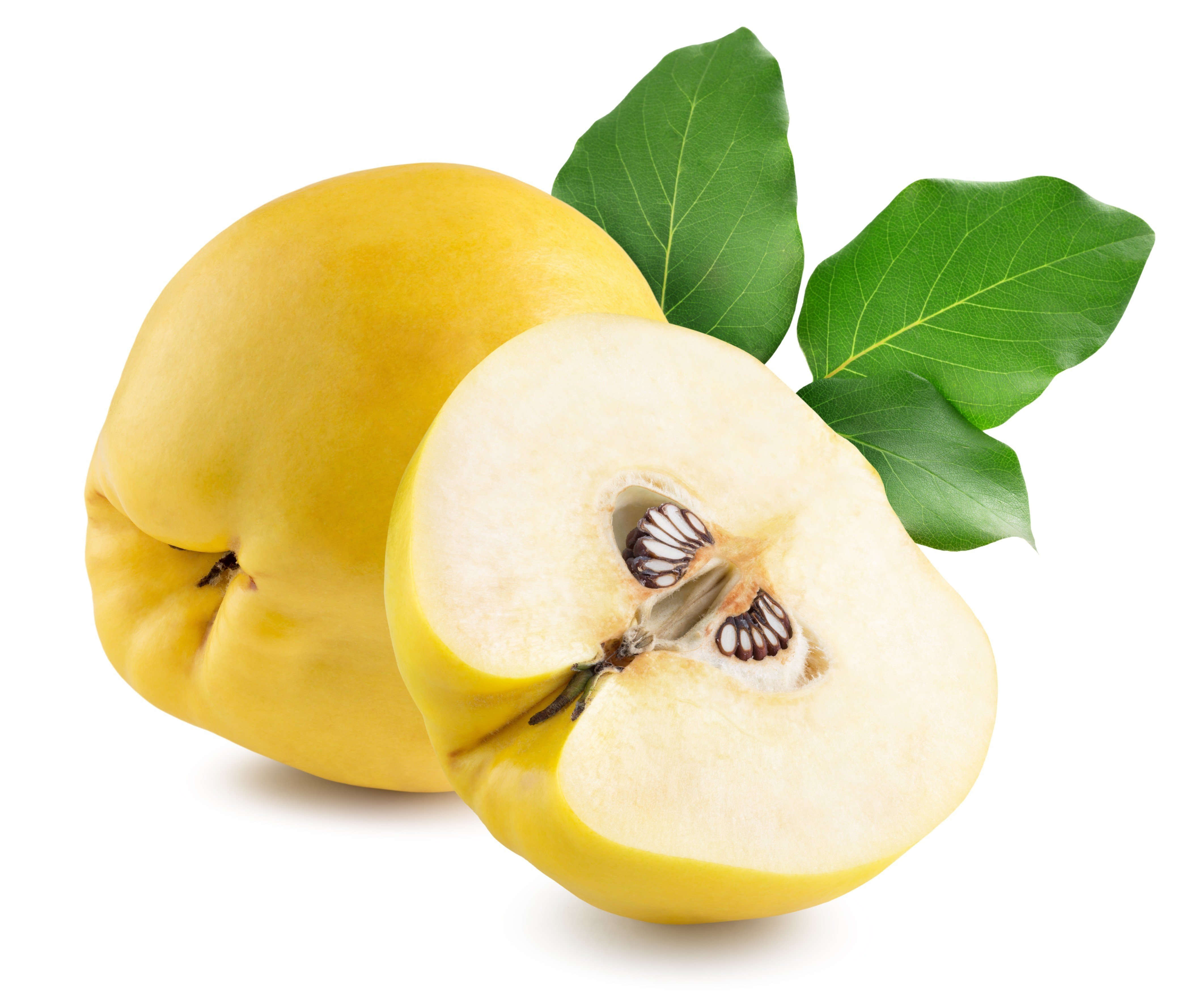 Quince (ME) : Buy online freshtohome com