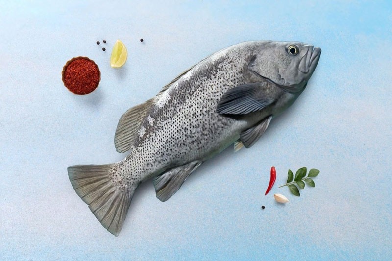 Tasty Rockfish Buy online