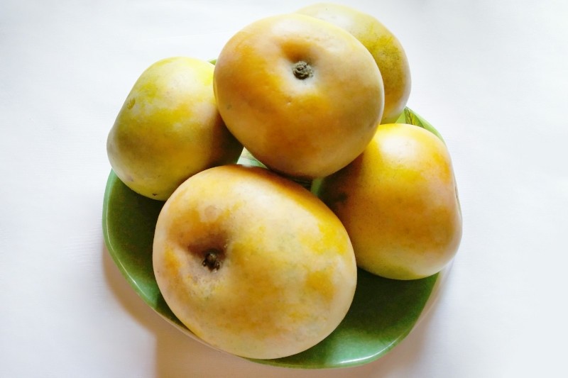rumani mango in telugu