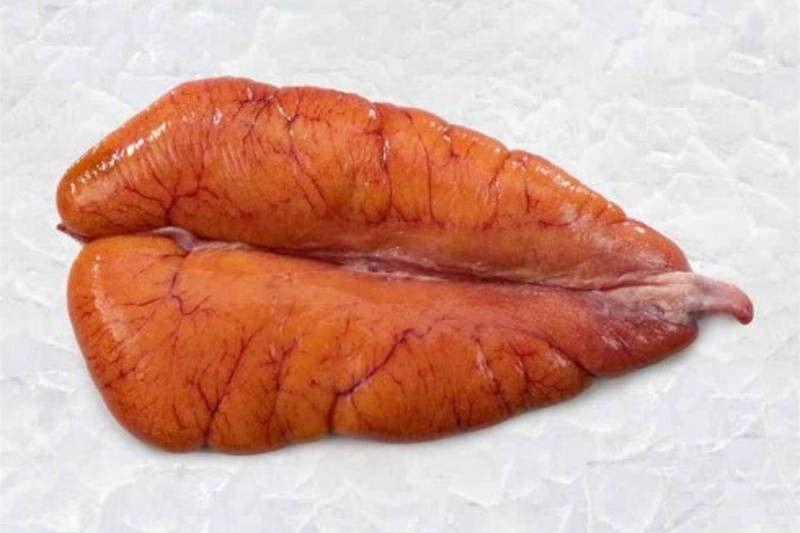 Buy live fish deals eggs online