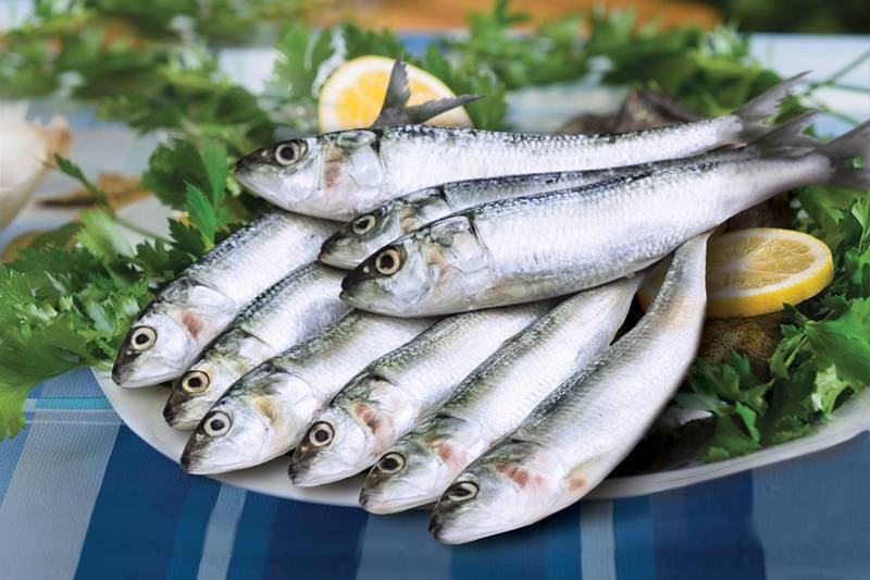 Kerala Sardine / Naadan Mathi Whole (Not Cleaned and Cut) Buy