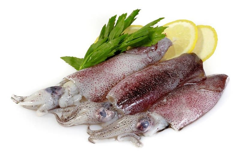 Squid / Koonthal / ಬೊಂಡಾಸ್ (Small) - Whole (As is without cleaning and