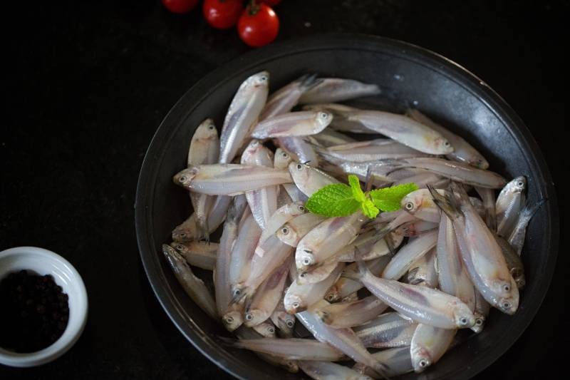 Freshwater Sprat / Kechhki / Chanda / Attu-Veloori / Freshwater Veloori