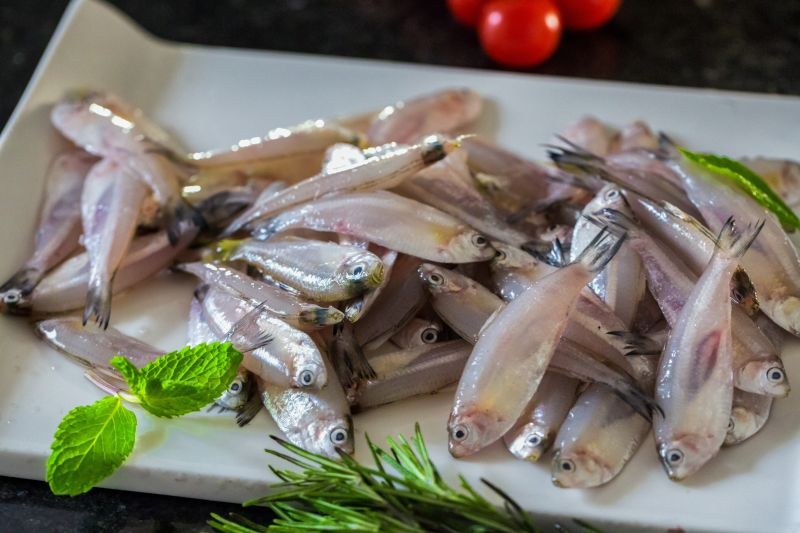 White Sardine / Veloori / Silver Fish / White Fish Buy online