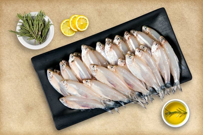White Sardine / Veloori / Silver Fish / White Fish Buy