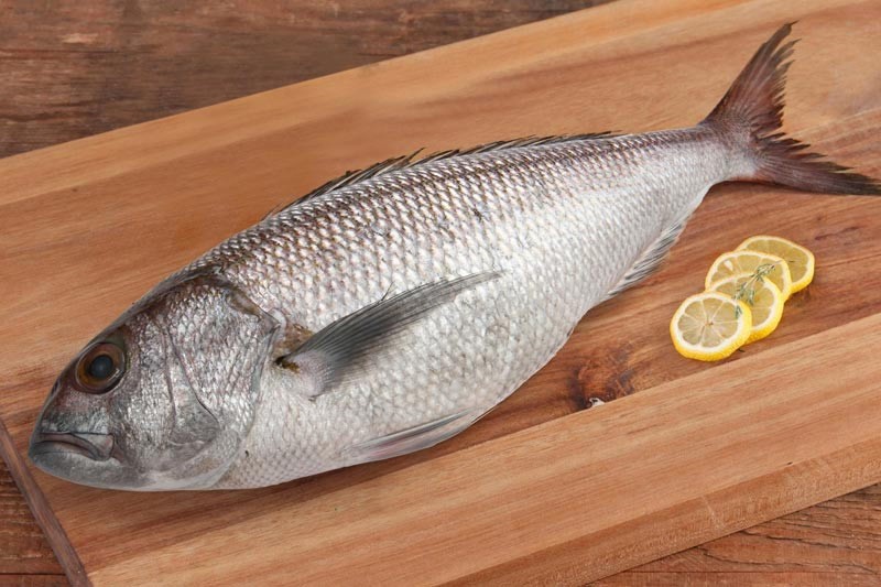 White snapper store fish