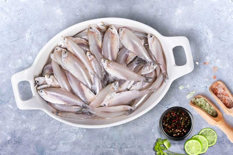 White Sardine / Veloori / Silver Fish / White Fish Buy online