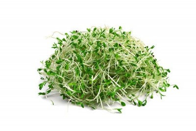 Sprout Alfa - Pack of 125g 