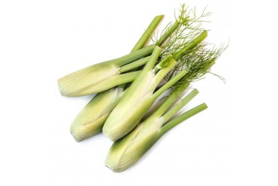 Baby Fennel (ZA) 200g Pack