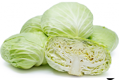 Cabbage