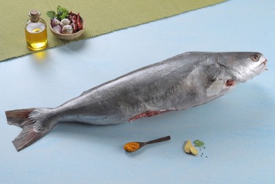 Large Catfish / Etta Koori - Whole Cleaned