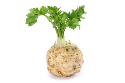 Celery Root (NL)