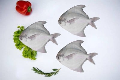 Premium Kafri / Chinese Silver Pomfret (Whole Size 300-400g) - Whole (Uncleaned)