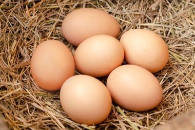 Fresh Premium Country Chicken Eggs - Pack of 6