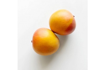 Mango R2E2 (VN)