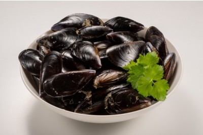 Dutch Mussel - Whole With Shell (Read the product description carefully)