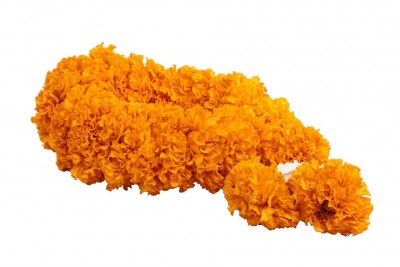 Marigold Flowers-Orange (Pack of 200g)