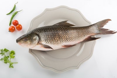 Rohu / Rui / ರೋಹು (Size/Grade 2kg-3kg)