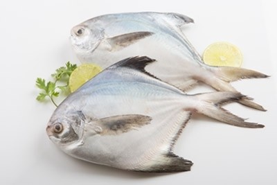 Premium White Pomfret / Silver Pomfret/ Avoli (1 Fish/Pack)  (Size 600-700g/Each Fish)