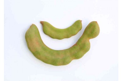 Tamarind Green (ME)