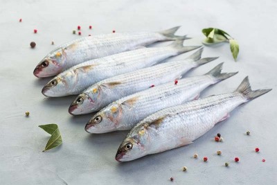 Kerala Grey Mullet / Thirutha / Bhangor / ভাঙ্গর / ಮಡಲೆ - Whole Cleaned
