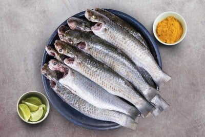 Grey Mullet / Thirutha / Bhangor / ಮಡಲೆ (Small) - Whole Cleaned
