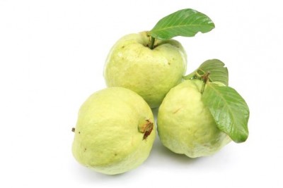Guava (TH) / جوافة خضراء تايلندية