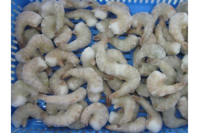 Shrimp Headless (IQF)   (No Head, Rest with shell, tail)