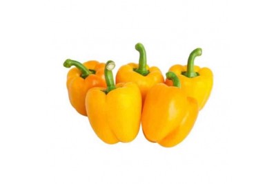 Mini Capsicum Yellow (NL)