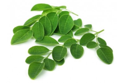 Moringa Leaf (IN) - 1 Bunch