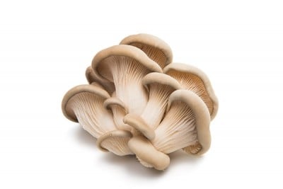 Mushroom Oyster - Pack of 200g