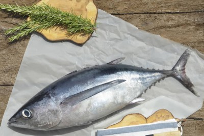 Premium Albacore Tuna / Neymeen Choora - Whole