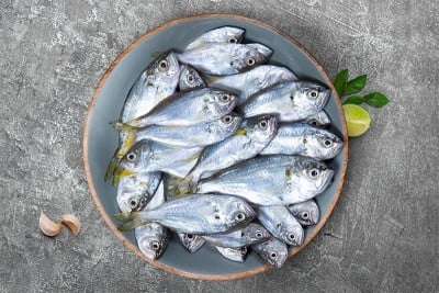 White Fish False Trevally Parava Buy Online Freshtohome Com