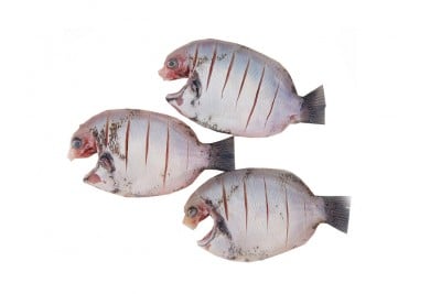 Pearl Spot / Karimeen / Koral (Small) - Whole Cleaned