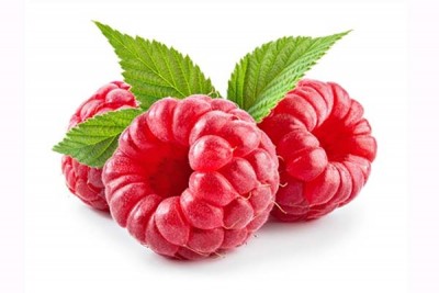 Raspberries (NL) - Pack of 150g / توت أحمر هولندي