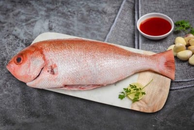 Freshwater Red Snapper / Chempalli - Whole Cleaned