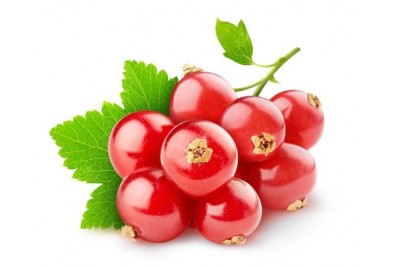 Redcurrant  - Pack of 125g 