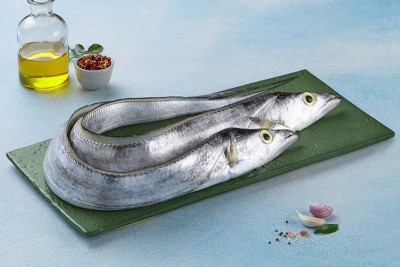 Ribbon Fish / Thalayan / Vaala