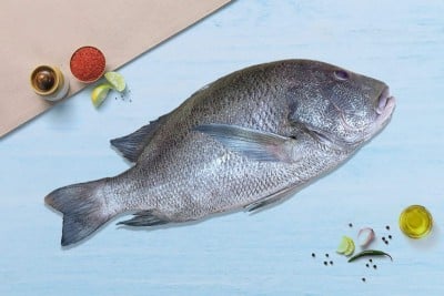 Tasty Rockfish